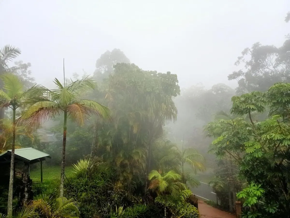 Spectacular Gold Coast Skyline Views Hotel Mount Tamborine Guest house